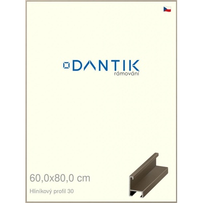 DANTIK rám na obraz 60 x 80 champagne