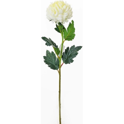 CHRYZANTÉMA SMOT.KS 59CM