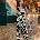 AX Paris Multi Floral Print V Neck Sleeveless Jumpsuit - Multi