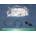 Compatible Бушинг за ufr 1, ляв ml 3050, jc61-01631a (jc61-01631a)