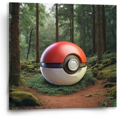 Sablio Obraz Pokemon ball Les - 50x50 cm