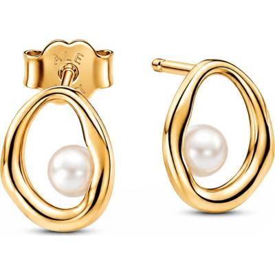 Pandora 263295C01