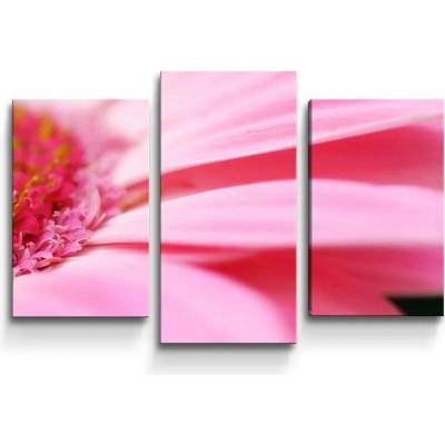 Sablio Obraz - 3-dílný Růžová gerbera - 75x50 cm