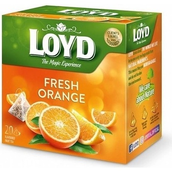 Loyd Tea pyramida Osvěžující pomeranč 20 x 2,2 g