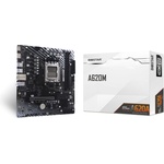 BIOSTAR A620MT-E 2.0 Дънни платки
