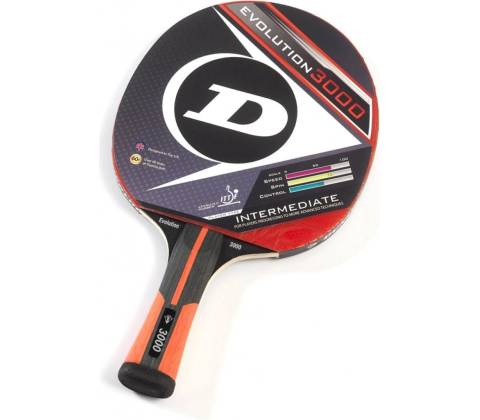 Dunlop Evolution 3000
