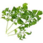 VÉritable (Франция) Пълнител (лингот) Garden cress Organic за настолна градина Véritable® - градински кресон (VLIN-J10-Cre024)