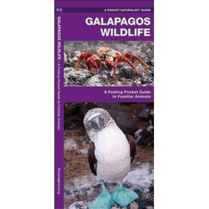 Galapagos Wildlife | James Kavanagh (ISBN: 9781583550816)