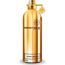 Montale Aoud Velvet parfémovaná voda unisex 100 ml