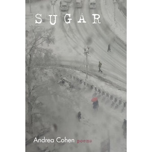 Sugar | Cohen, Andrea (ISBN: 9781961897700)
