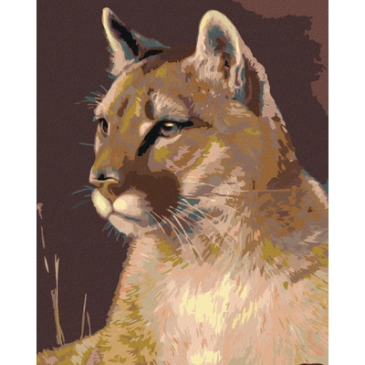 Zuty Malování podle čísel PUMA