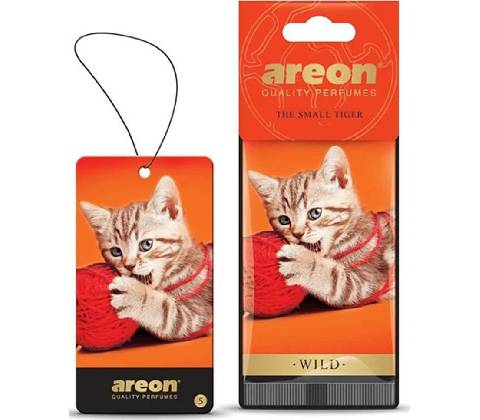 Areon Wild The Small Tiger