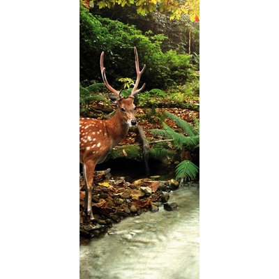 Preinterier DV0061 Fototapeta na stenu Jeleň v lese vlies 91cm x 211cm