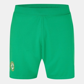 Image 1 of Castore Къси панталони Castore Ireland Home Shorts 2024 Adults - Green
