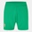 Castore Къси панталони Castore Ireland Home Shorts 2024 Adults - Green