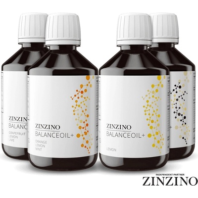 Zinzino Balance Oil olej 300 ml – Hledejceny.cz