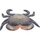 Gaby Vankúš Krab bahenný 60cm