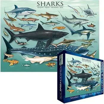 Image 1 of EUROGRAPHICS - Puzzle Sharks 2 - 1 000 piese
