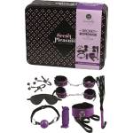 Mr. Steel Secret Play Bondage Kit