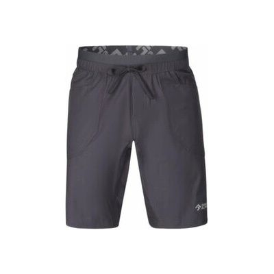 Direct Alpine Solo Shorts 3.0 Men Sivá
