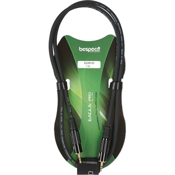 Bespeco EA2M100