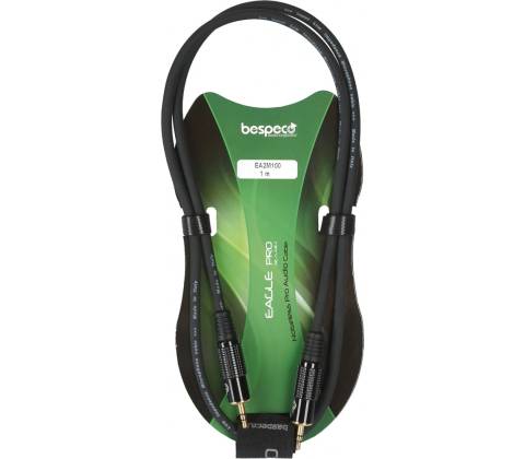Bespeco EA2M100