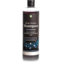 Hedera Vita Šampón proti lupinám 500 ml