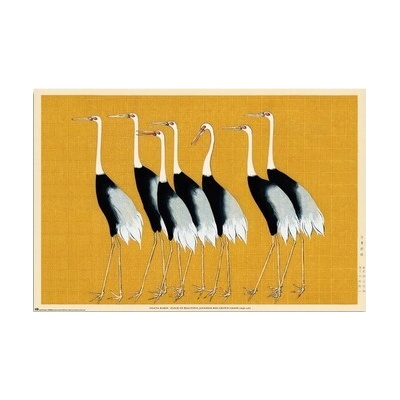 Plakát, Obraz - Ogata Korin - Flock of Beatiful Japanese Red Crown Crane, 91.5 × 61 cm