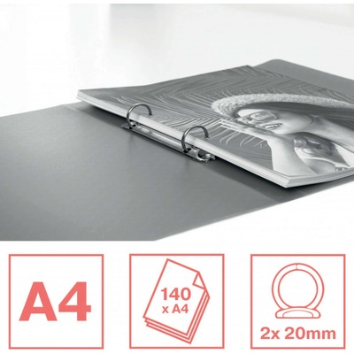 Esselte Krúžkový šanón 2 krúžky 25 mm A4 PP, Colour`Breeze koralový