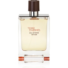 Hermès Terre D'Hermès Eau Intense Vetiver parfémovaná voda pánská 100 ml