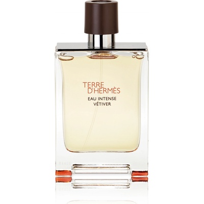 Hermès Terre D'Hermès Eau Intense Vetiver parfémovaná voda pánská 100 ml