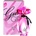 GUESS Girl EDT 50 ml