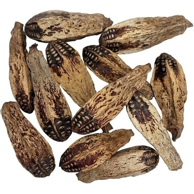 3395 mehogany 10-15cm 12ks