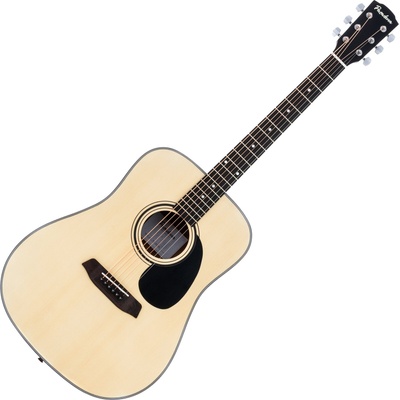 Pasadena PD-100 Natural Акустична китара