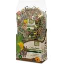 JR Farm Grainless HEALT MIX cincila degu 600 g