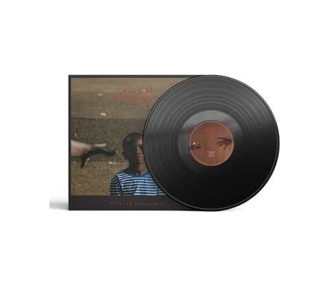 Kiwanuka Michael - Small Changes / Vinyl LP