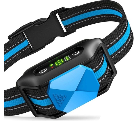 Reedog Q20