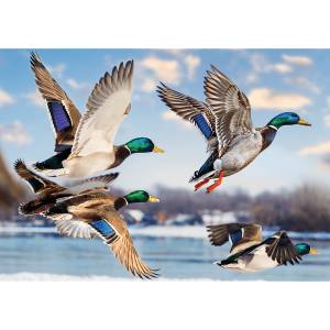 Trefl - Puzzle Premium Plus: Mallards in Flight - 1 000 piese