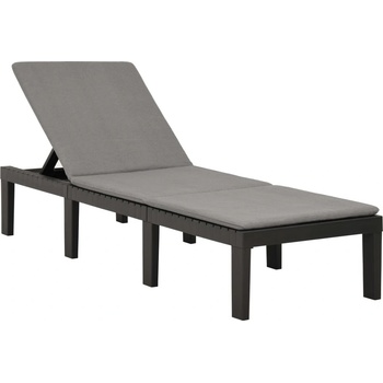 vidaXL s poduškou plast antracitové 315829