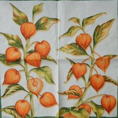 Ambiente Ubrousek Mochyně 33x33cm