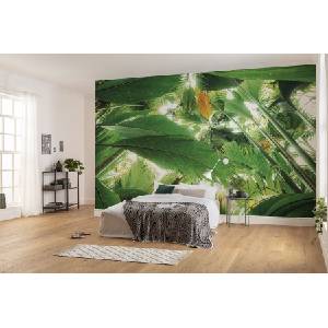  Фототапет Dschungeldach II