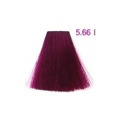 Kallos KJMN 5.66i Brilliant Violet