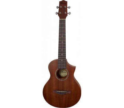 Ibanez UEWT 5
