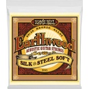 Ernie Ball 2045