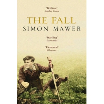 The Fall - Simon Mawer