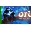 Hry na Xbox One Ori and The Blind Forest