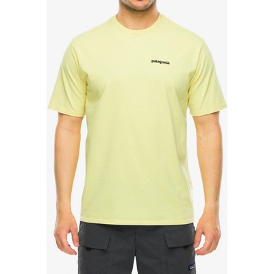 Patagonia P-6 Logo Responsibili Tee Men