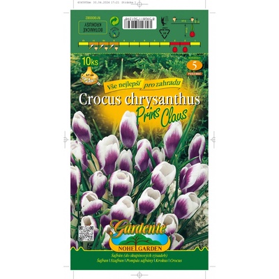 Nohel Garden Šafrán, krokus botanický PRINS CLAUS 10ks, cibulovina