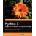Python 3 Object Oriented Programming | D. Phillips