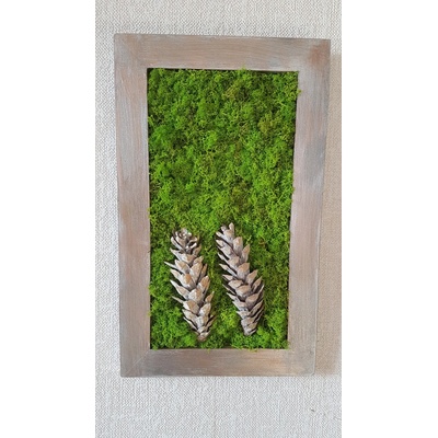 Mechový obraz se šiškami 45cm x 25cm